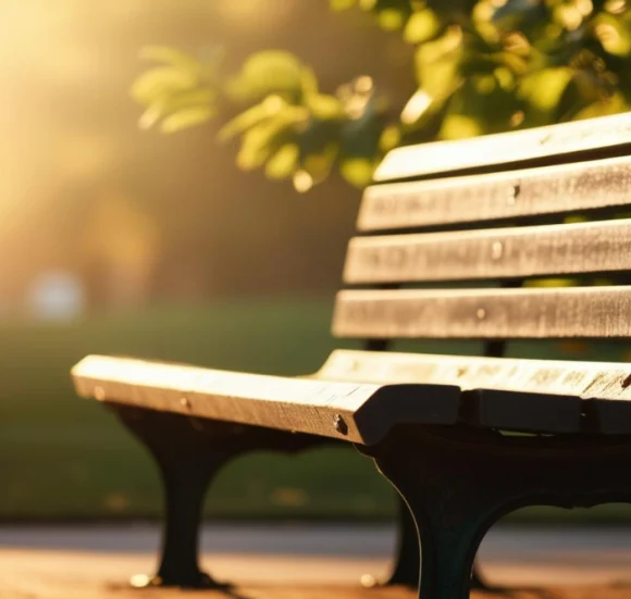 Peaceful outdoor bench representing reflection and therapy